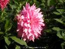 DSCN1338 * 600 x 450 * (53KB)